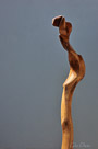 06072011-sculpture-abstraite_530